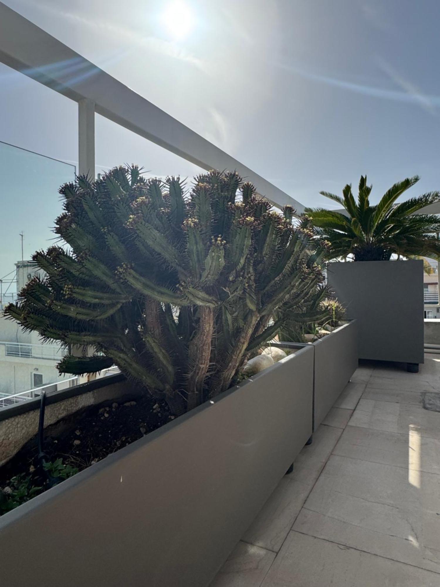 Sea Horizon Penthouse Flat Apartment Атина Екстериор снимка